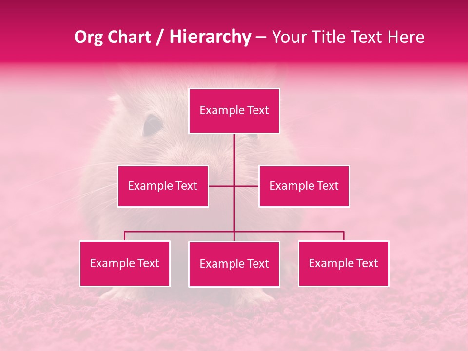 A Hamster Is Sitting On A Pink Carpet PowerPoint Template