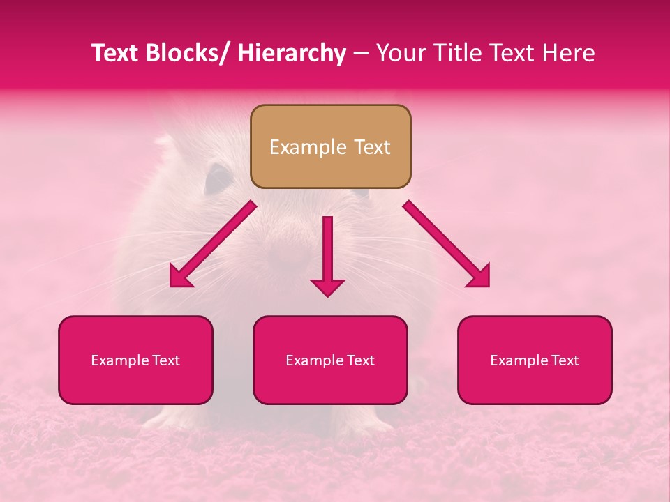 A Hamster Is Sitting On A Pink Carpet PowerPoint Template