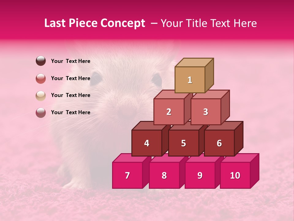 A Hamster Is Sitting On A Pink Carpet PowerPoint Template