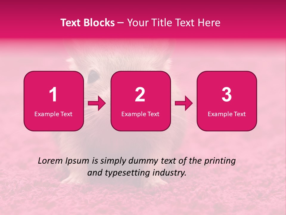 A Hamster Is Sitting On A Pink Carpet PowerPoint Template