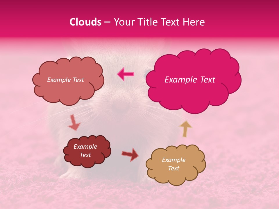 A Hamster Is Sitting On A Pink Carpet PowerPoint Template