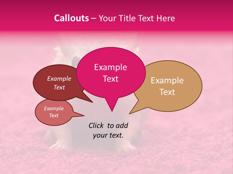 A Hamster Is Sitting On A Pink Carpet PowerPoint Template