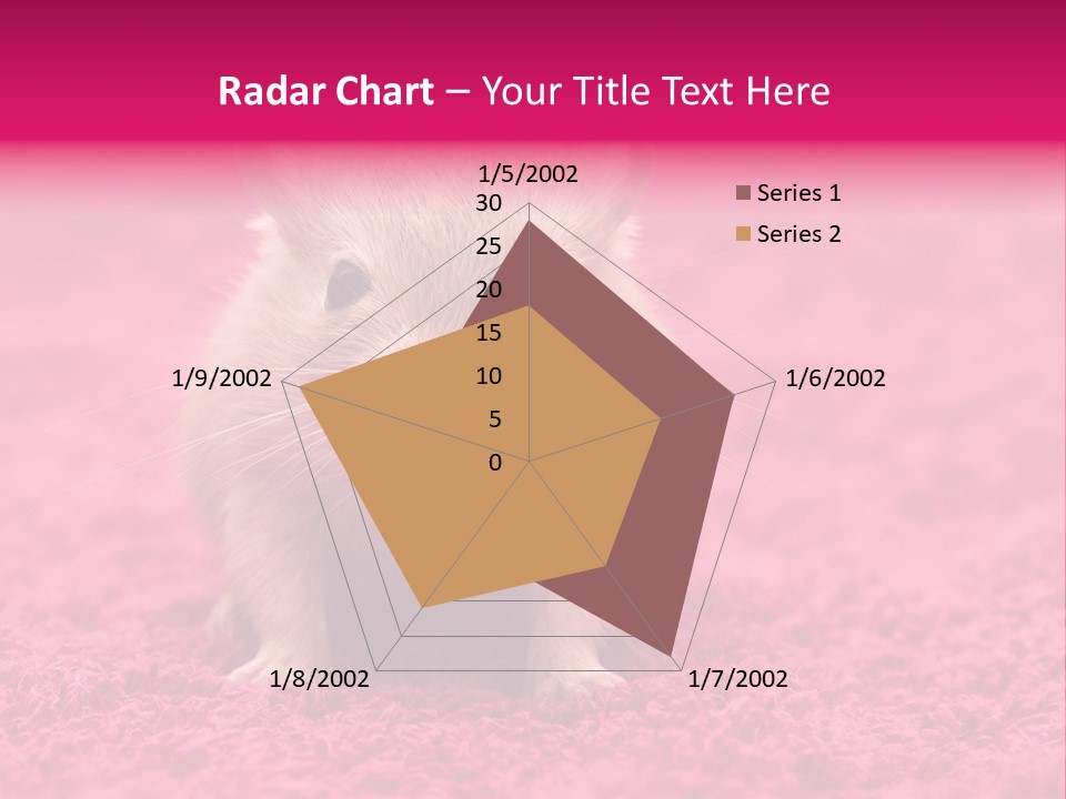 A Hamster Is Sitting On A Pink Carpet PowerPoint Template