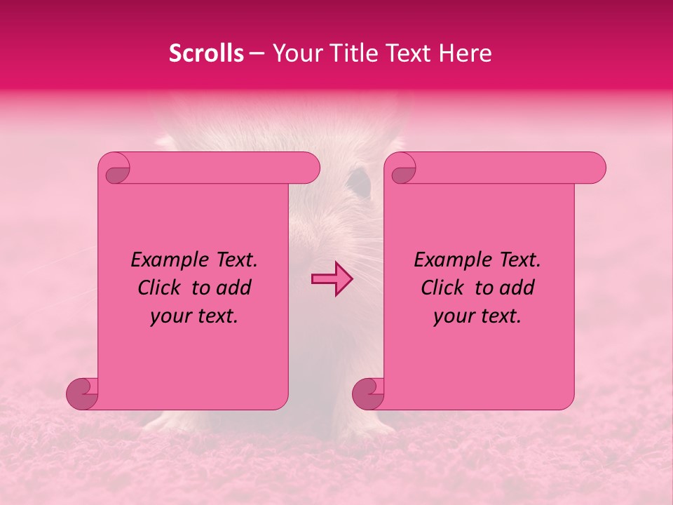A Hamster Is Sitting On A Pink Carpet PowerPoint Template