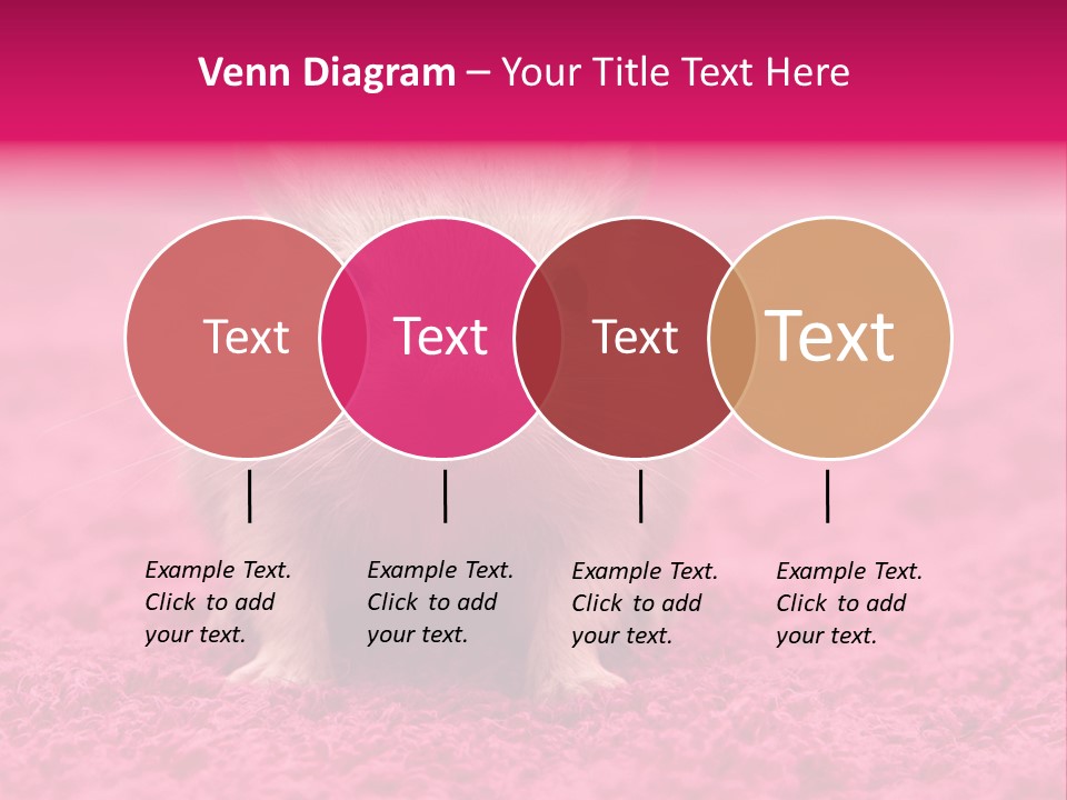 A Hamster Is Sitting On A Pink Carpet PowerPoint Template