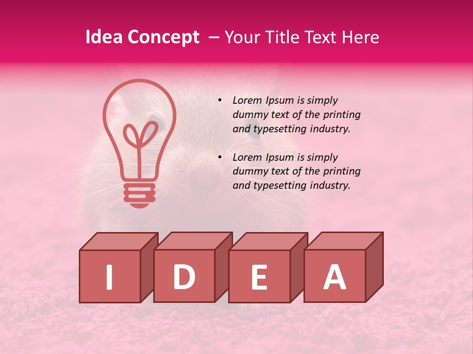 A Hamster Is Sitting On A Pink Carpet PowerPoint Template