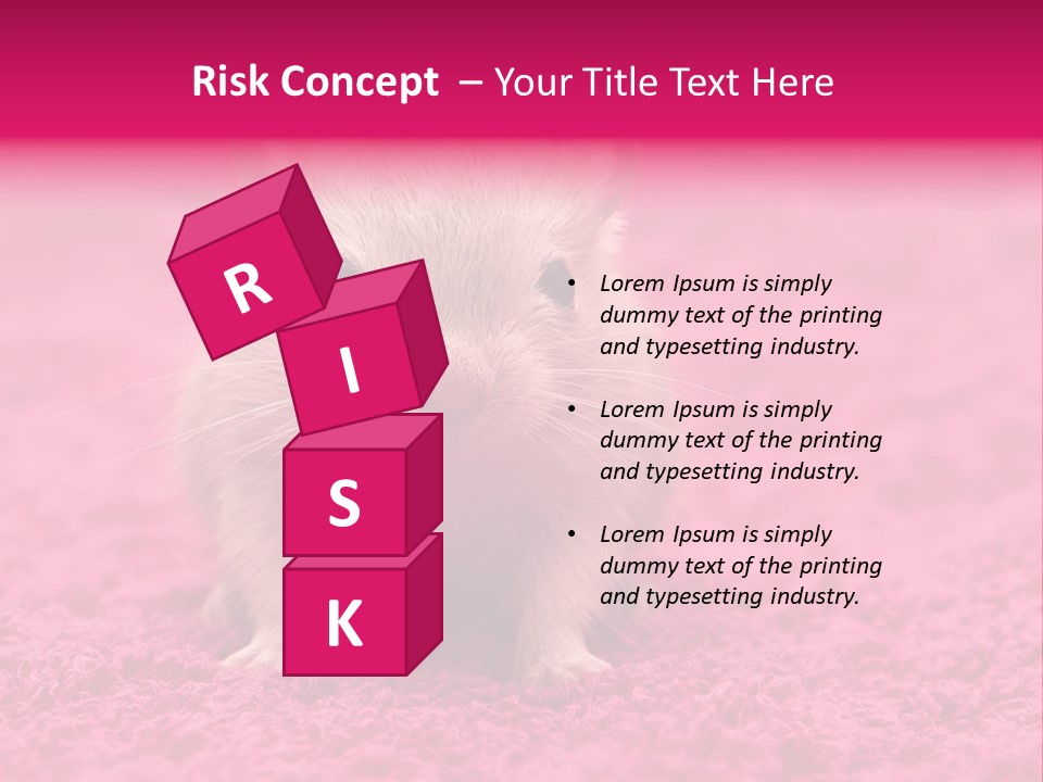 A Hamster Is Sitting On A Pink Carpet PowerPoint Template