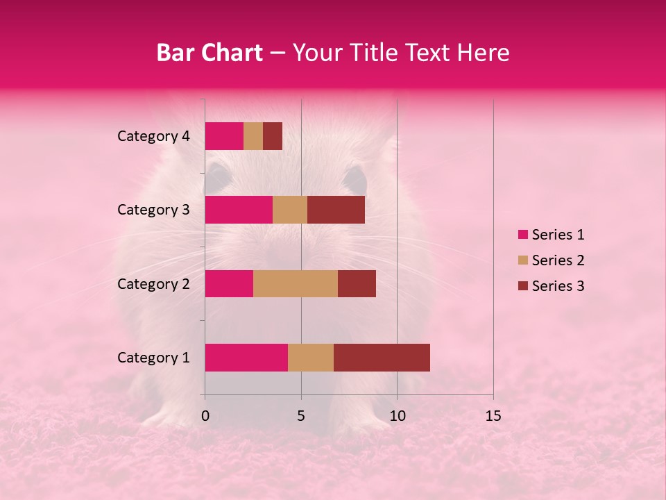 A Hamster Is Sitting On A Pink Carpet PowerPoint Template