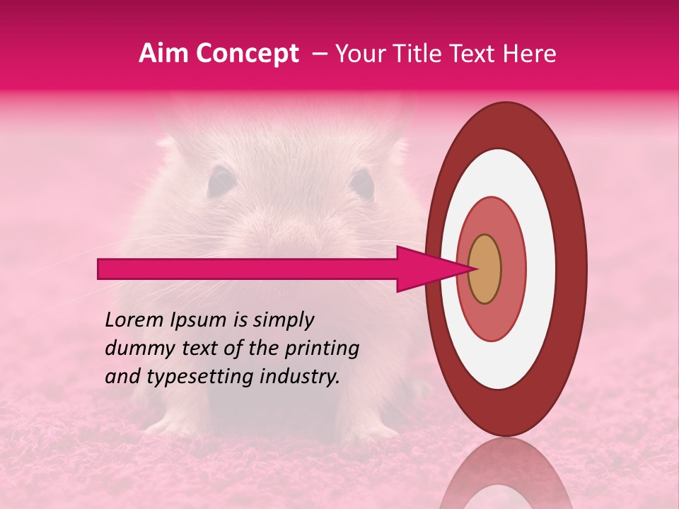 A Hamster Is Sitting On A Pink Carpet PowerPoint Template