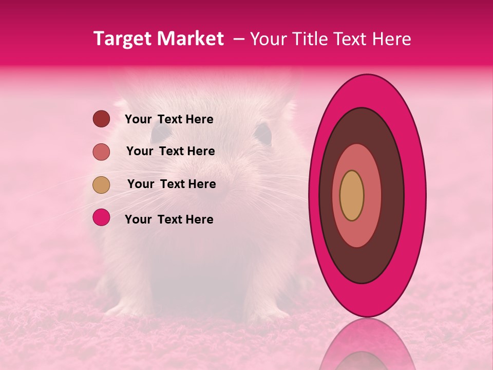 A Hamster Is Sitting On A Pink Carpet PowerPoint Template