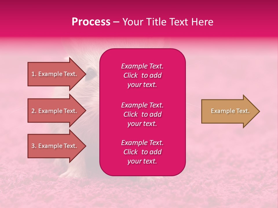 A Hamster Is Sitting On A Pink Carpet PowerPoint Template