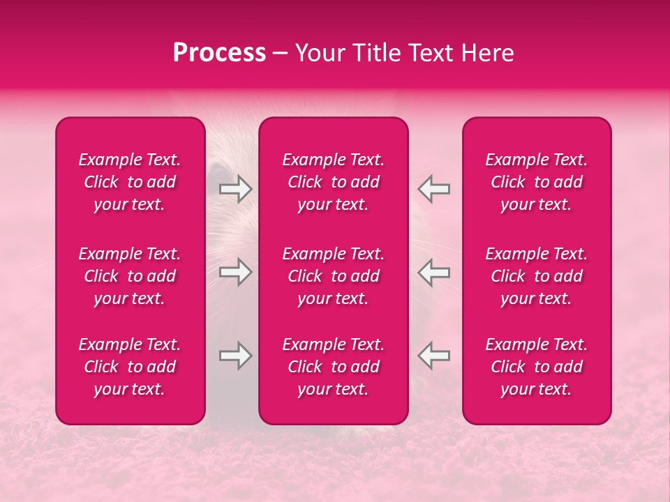 A Hamster Is Sitting On A Pink Carpet PowerPoint Template