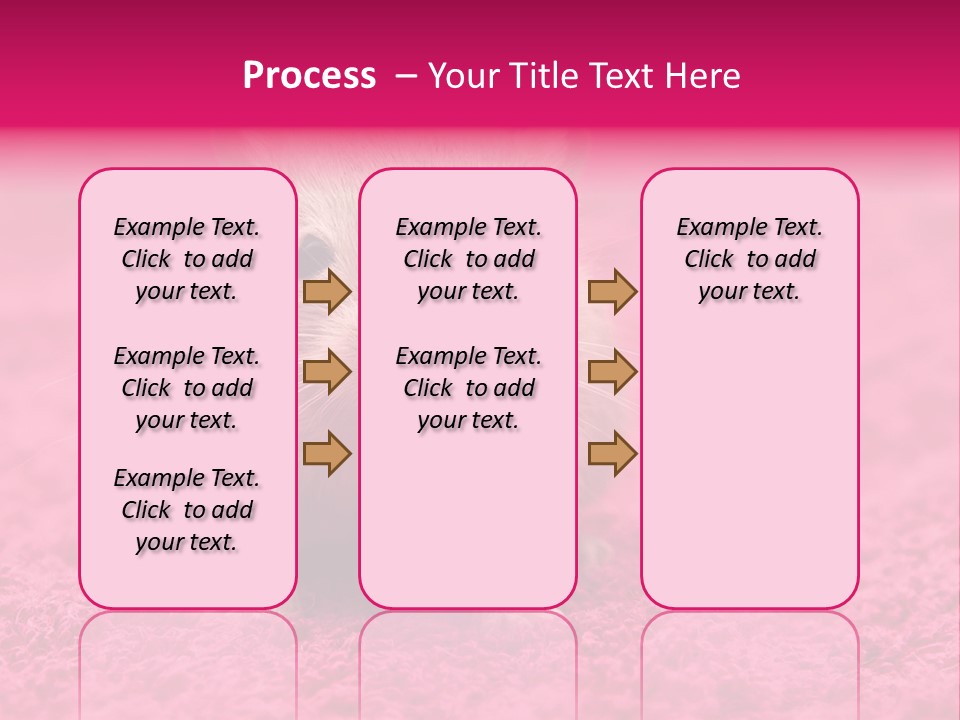 A Hamster Is Sitting On A Pink Carpet PowerPoint Template