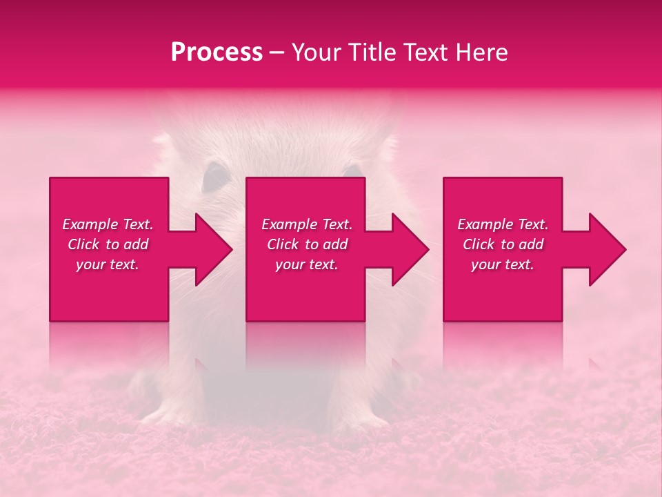 A Hamster Is Sitting On A Pink Carpet PowerPoint Template