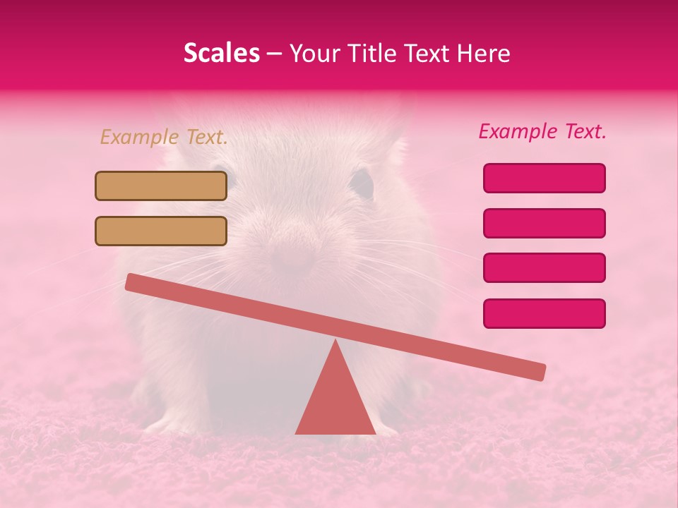 A Hamster Is Sitting On A Pink Carpet PowerPoint Template