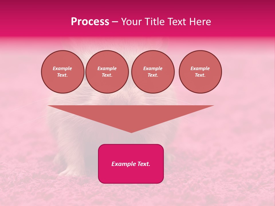 A Hamster Is Sitting On A Pink Carpet PowerPoint Template