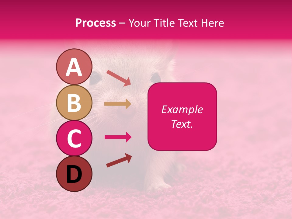 A Hamster Is Sitting On A Pink Carpet PowerPoint Template
