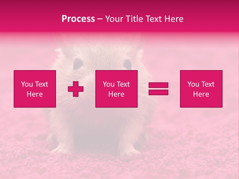 A Hamster Is Sitting On A Pink Carpet PowerPoint Template