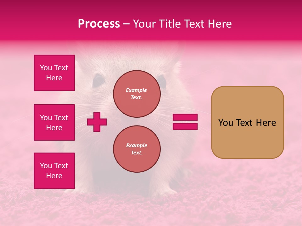 A Hamster Is Sitting On A Pink Carpet PowerPoint Template
