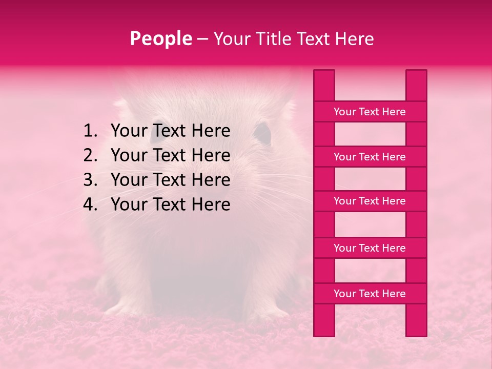 A Hamster Is Sitting On A Pink Carpet PowerPoint Template