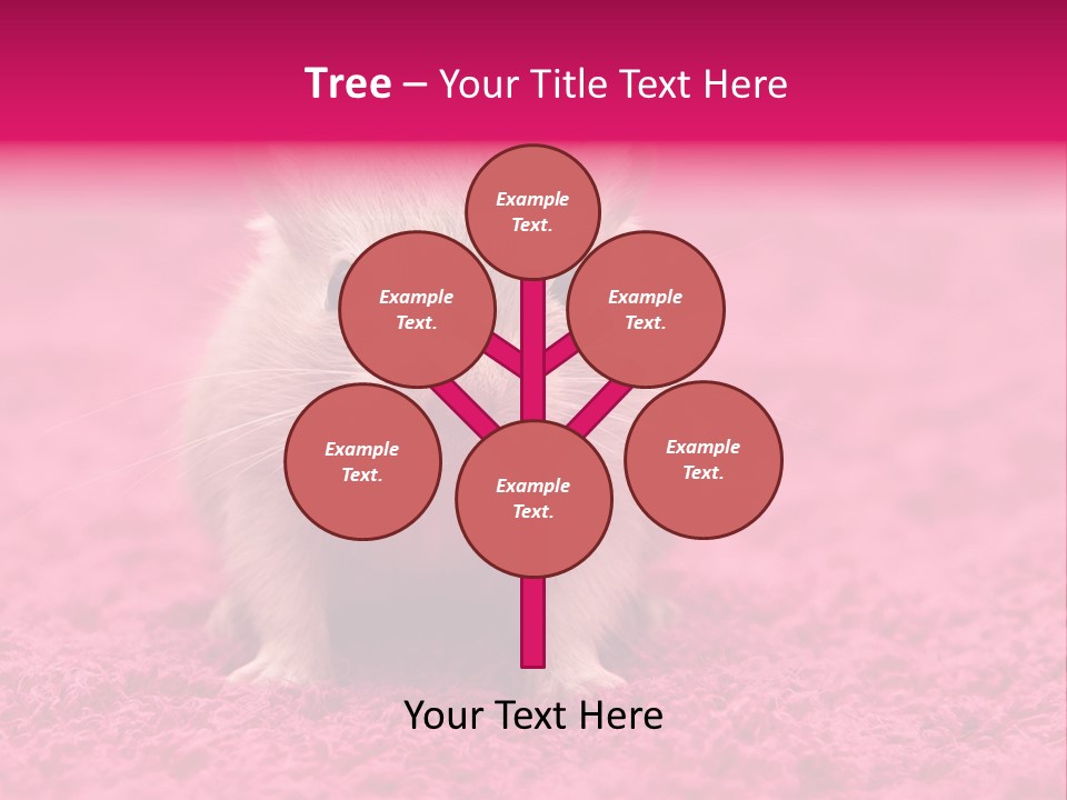 A Hamster Is Sitting On A Pink Carpet PowerPoint Template