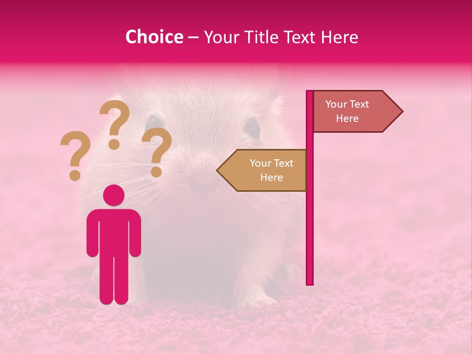 A Hamster Is Sitting On A Pink Carpet PowerPoint Template