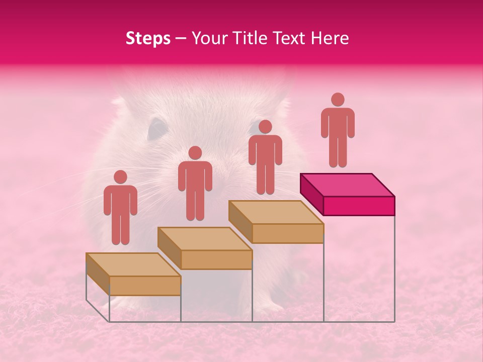 A Hamster Is Sitting On A Pink Carpet PowerPoint Template