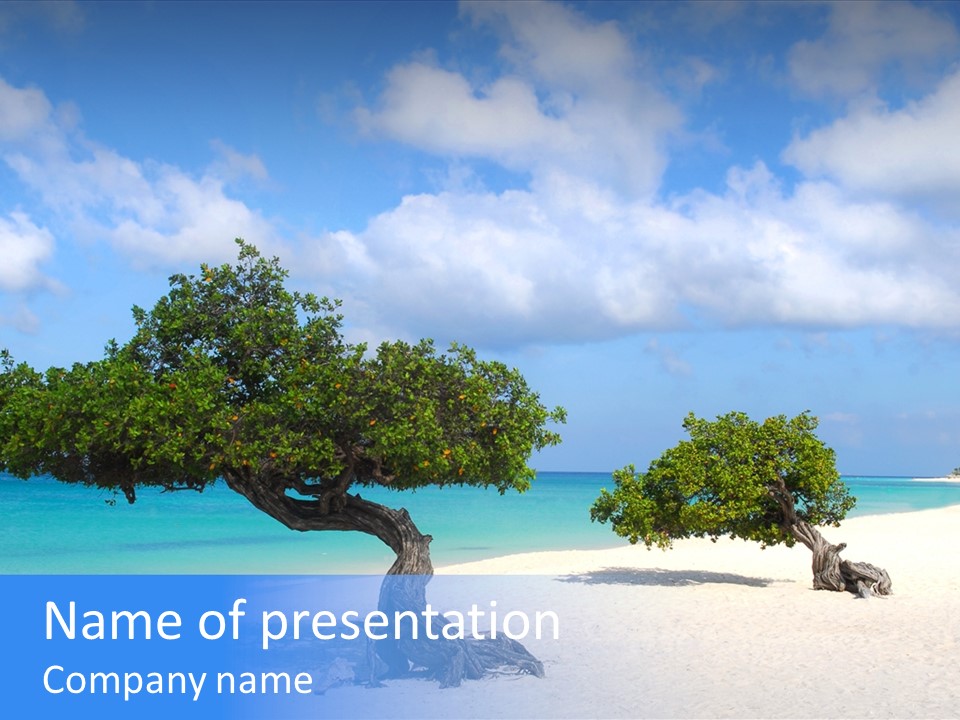 A Tree On A Beach With Blue Water In The Background PowerPoint Template