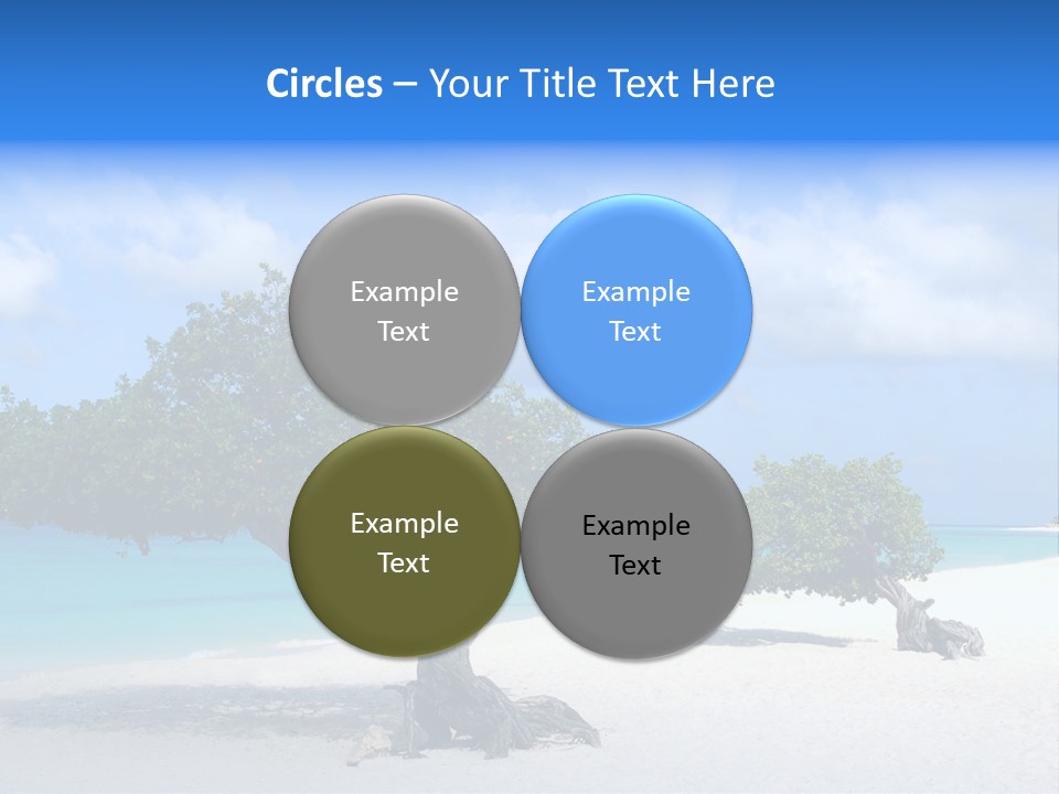 A Tree On A Beach With Blue Water In The Background PowerPoint Template