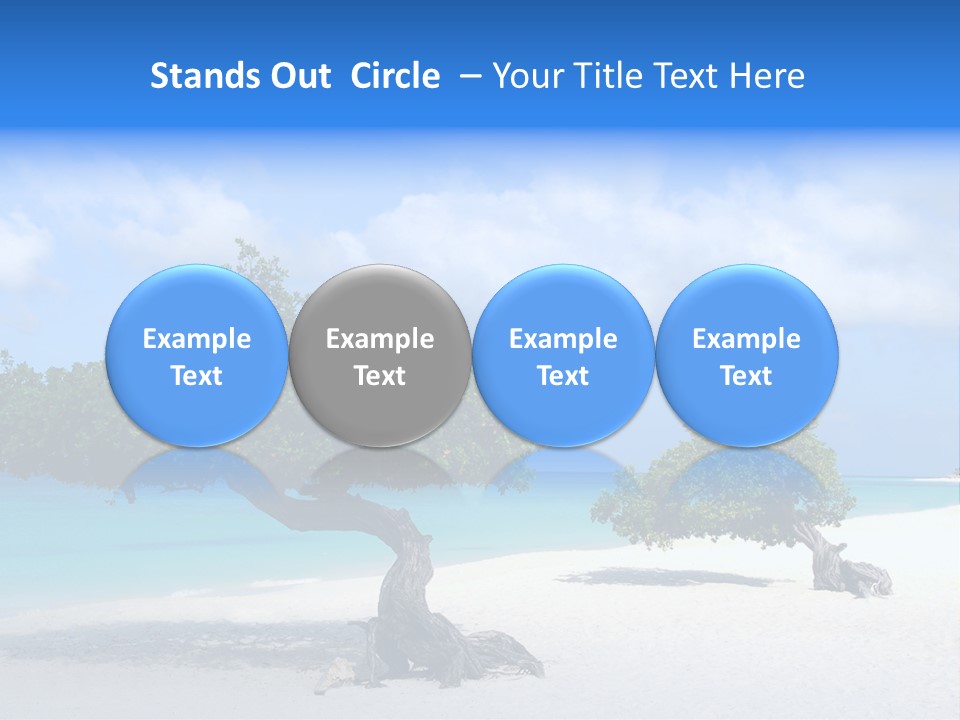 A Tree On A Beach With Blue Water In The Background PowerPoint Template