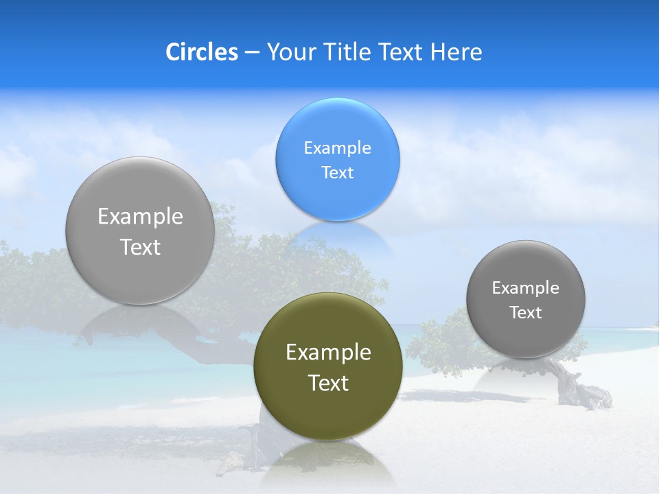 A Tree On A Beach With Blue Water In The Background PowerPoint Template