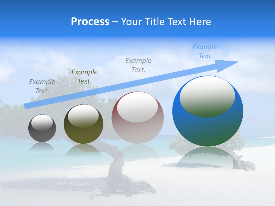 A Tree On A Beach With Blue Water In The Background PowerPoint Template