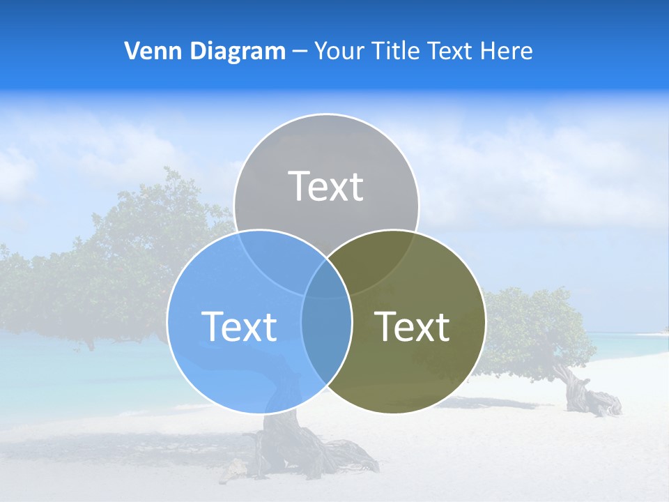 A Tree On A Beach With Blue Water In The Background PowerPoint Template