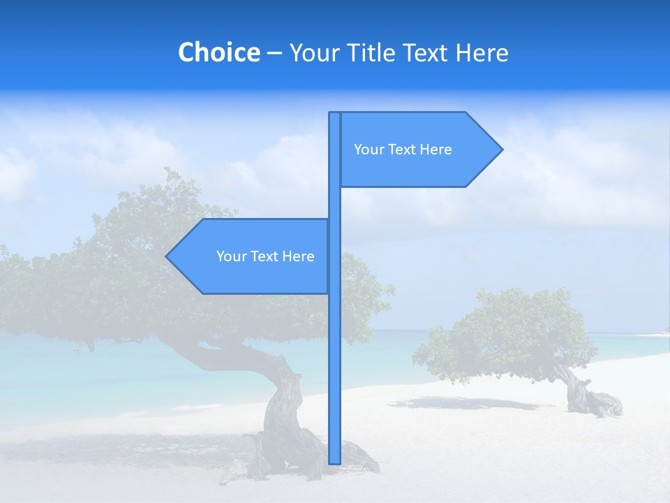 A Tree On A Beach With Blue Water In The Background PowerPoint Template