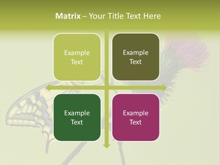 Prime Wing Animal PowerPoint Template