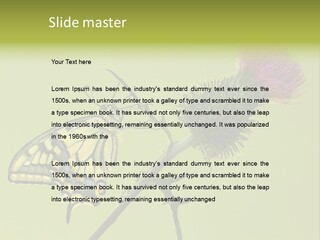 Prime Wing Animal PowerPoint Template