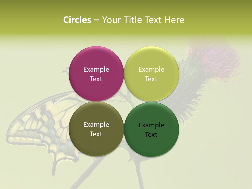 Prime Wing Animal PowerPoint Template