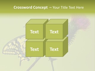 Prime Wing Animal PowerPoint Template