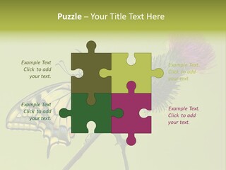 Prime Wing Animal PowerPoint Template