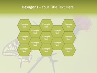 Prime Wing Animal PowerPoint Template