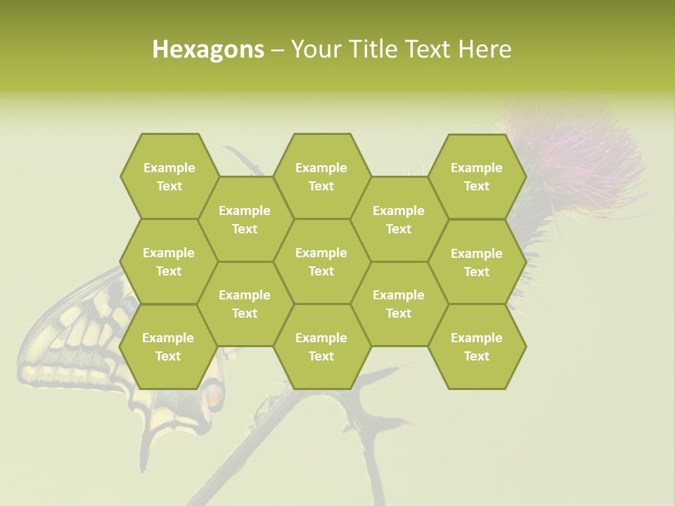 Prime Wing Animal PowerPoint Template