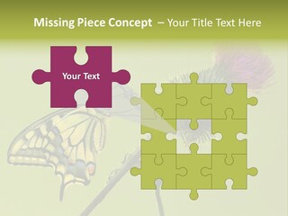 Prime Wing Animal PowerPoint Template