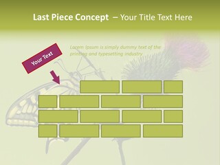 Prime Wing Animal PowerPoint Template
