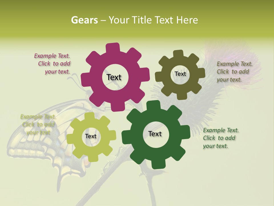 Prime Wing Animal PowerPoint Template