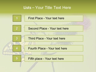 Prime Wing Animal PowerPoint Template