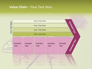 Prime Wing Animal PowerPoint Template