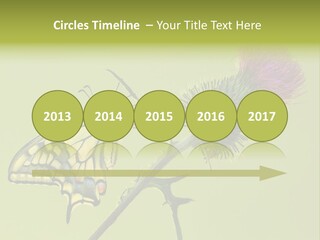 Prime Wing Animal PowerPoint Template