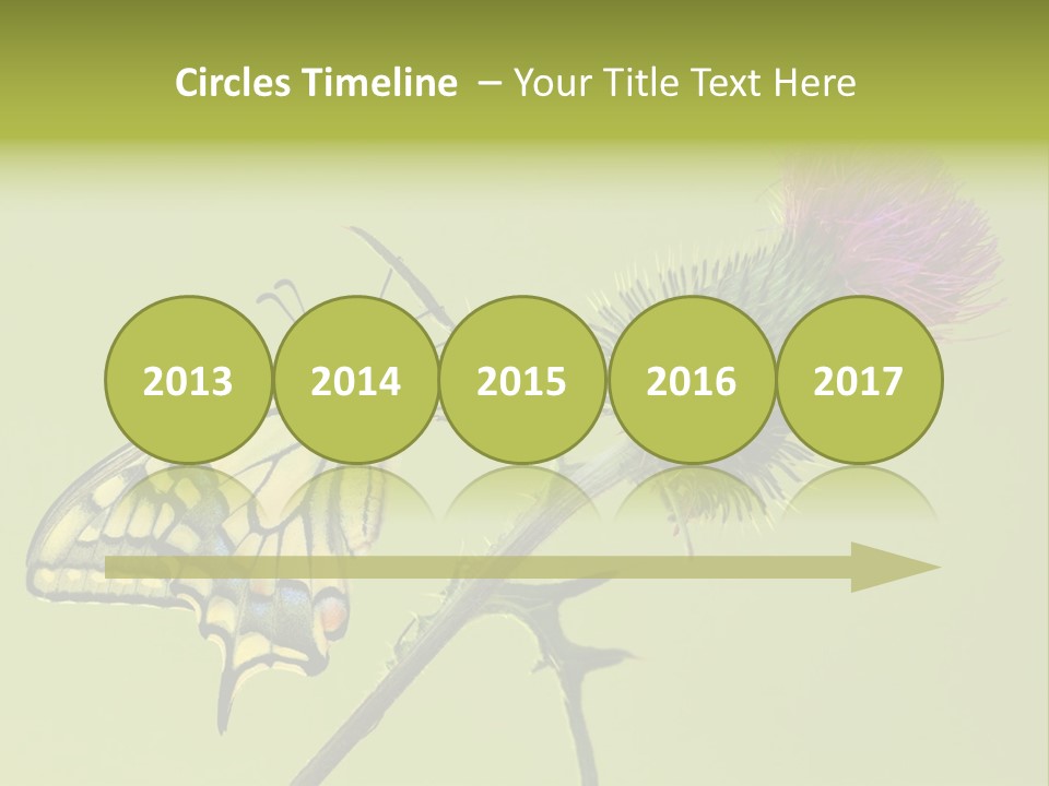 Prime Wing Animal PowerPoint Template