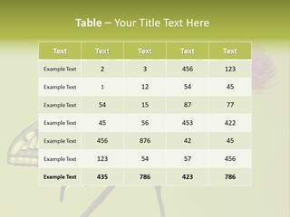 Prime Wing Animal PowerPoint Template