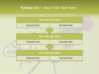 Prime Wing Animal PowerPoint Template